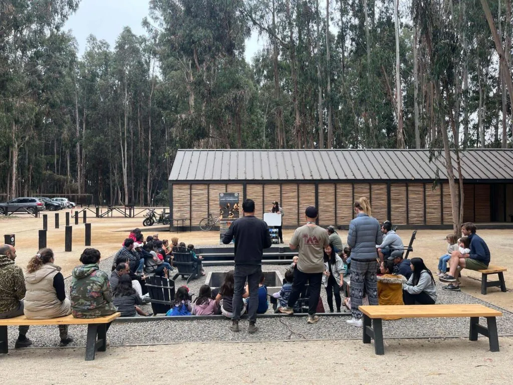 Birds at Reserva Longotoma
