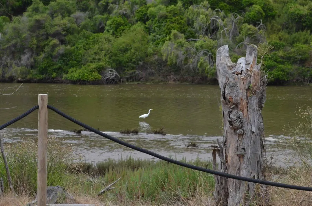 Kayaking at Reserva Longotoma
