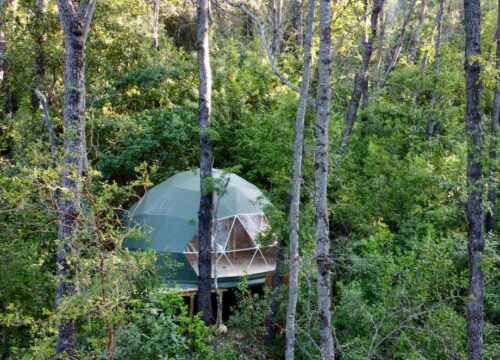 Chillán – Bosque Vivo – 1 cama 2 plazas, 1 Futón Cama – Domo Lingue