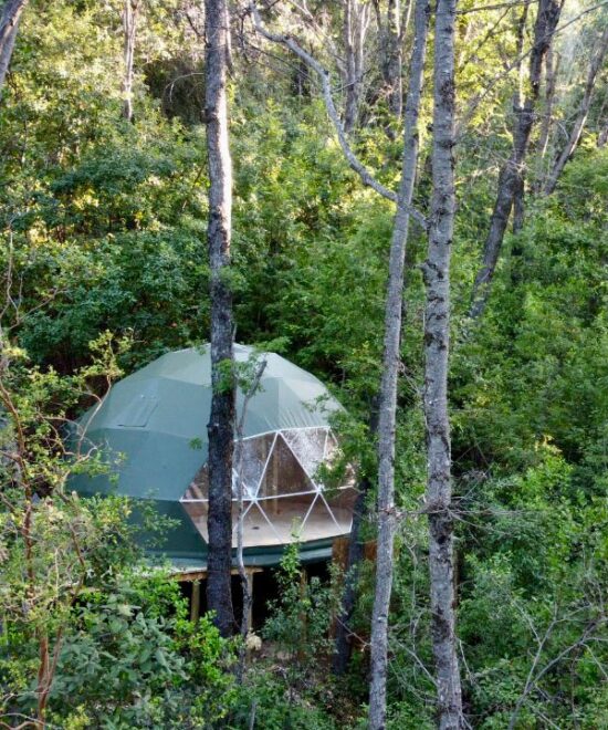 Chillán – Bosque Vivo – 1 cama 2 plazas, 1 Futón Cama – Domo Lingue