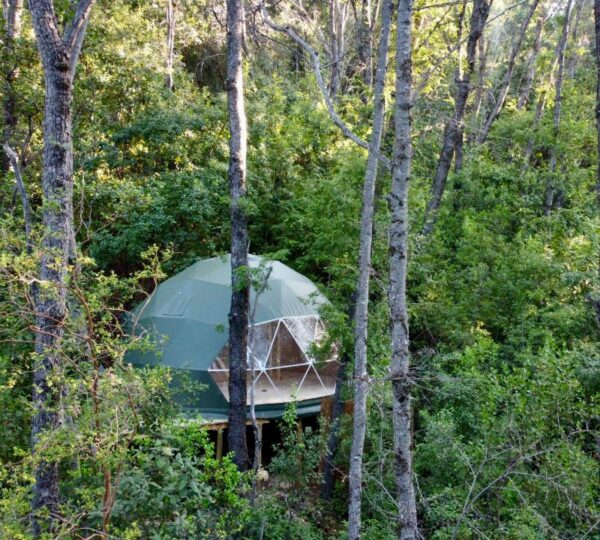 Chillán – Bosque Vivo – 1 cama 2 plazas, 1 Futón Cama – Domo Lingue