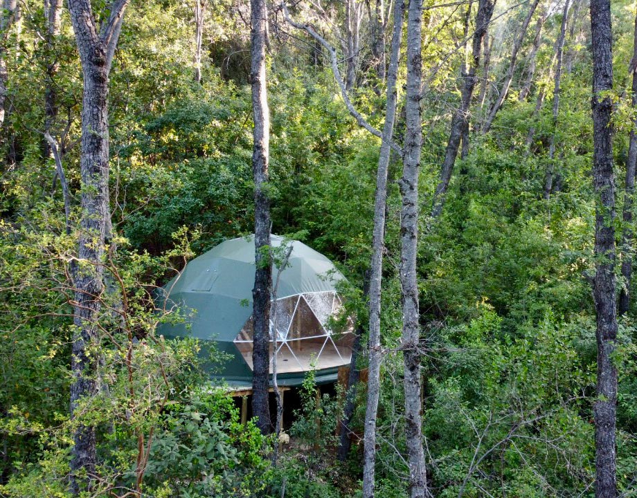 Chillán – Bosque Vivo – 1 cama 2 plazas, 1 Futón Cama – Domo Lingue