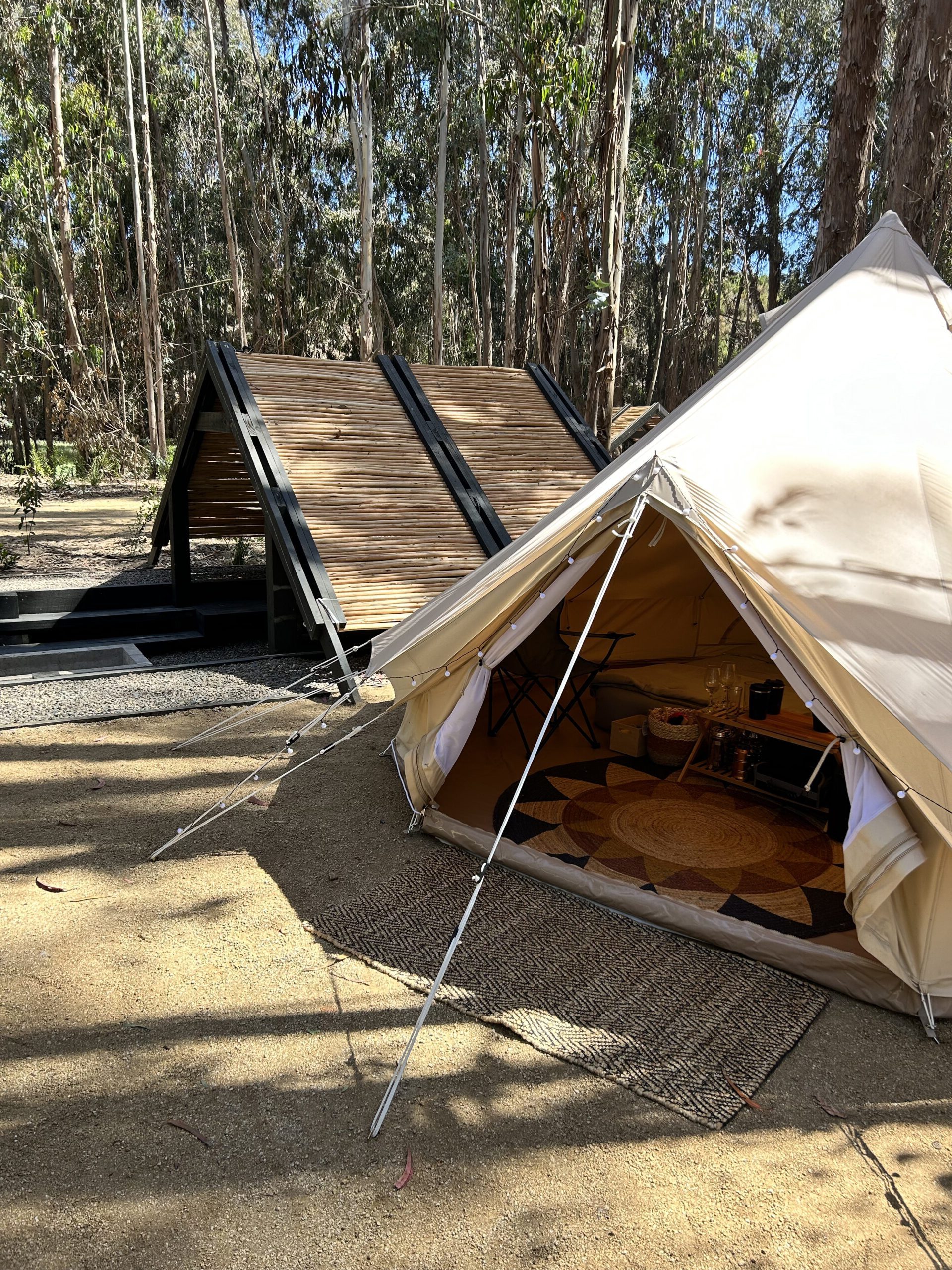 Longotoma - Camping Reserva Longotoma - 1 cama 2 plazas, 2 camas 1.5 plazas - Sitio Pilpilén 8