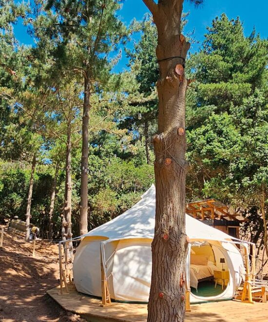 Matanzas - Glamping Matanzas - 1 cama King, 1 cama nido - Carpa Maqui