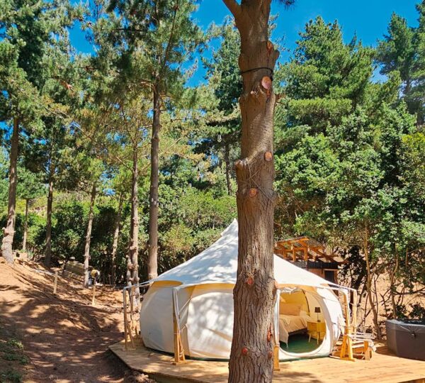 Matanzas - Glamping Matanzas - 1 cama King, 1 cama nido - Carpa Maqui