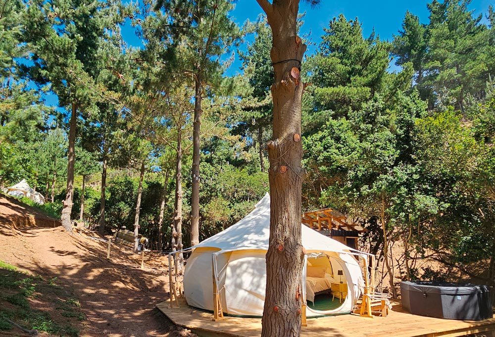 Matanzas - Glamping Matanzas - 1 cama King, 1 cama nido - Carpa Maqui