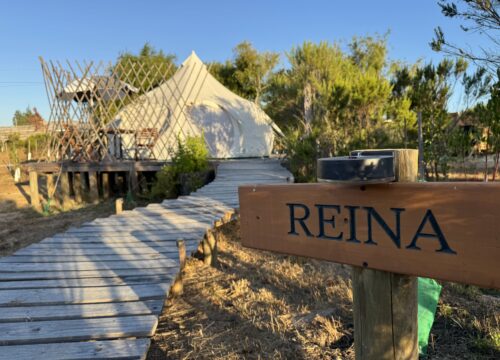 Litueche - La Colmena Glamping - 1 cama 2 plazas, 1 cama 1 plaza - Carpa Reina