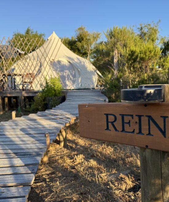 Litueche - La Colmena Glamping - 1 cama 2 plazas, 1 cama 1 plaza - Carpa Reina