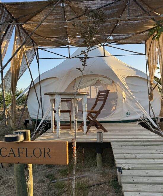 Litueche - La Colmena Glamping - 1 cama 2 plazas, 1 cama 1 plaza - Carpa Picaflor