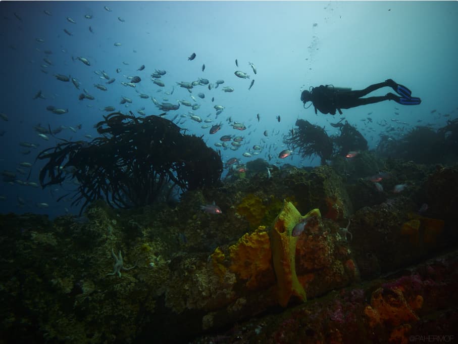 clases de buceo Los Molles