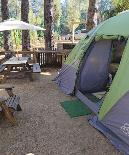 Carpa Familiar para 4 personas