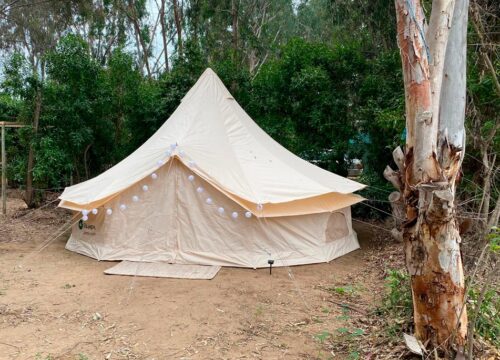 Guanaqueros - Camping Bahía Club - 1 cama 2 plazas, 2 camas 1.5 plazas - Sitio Pitotoy 58