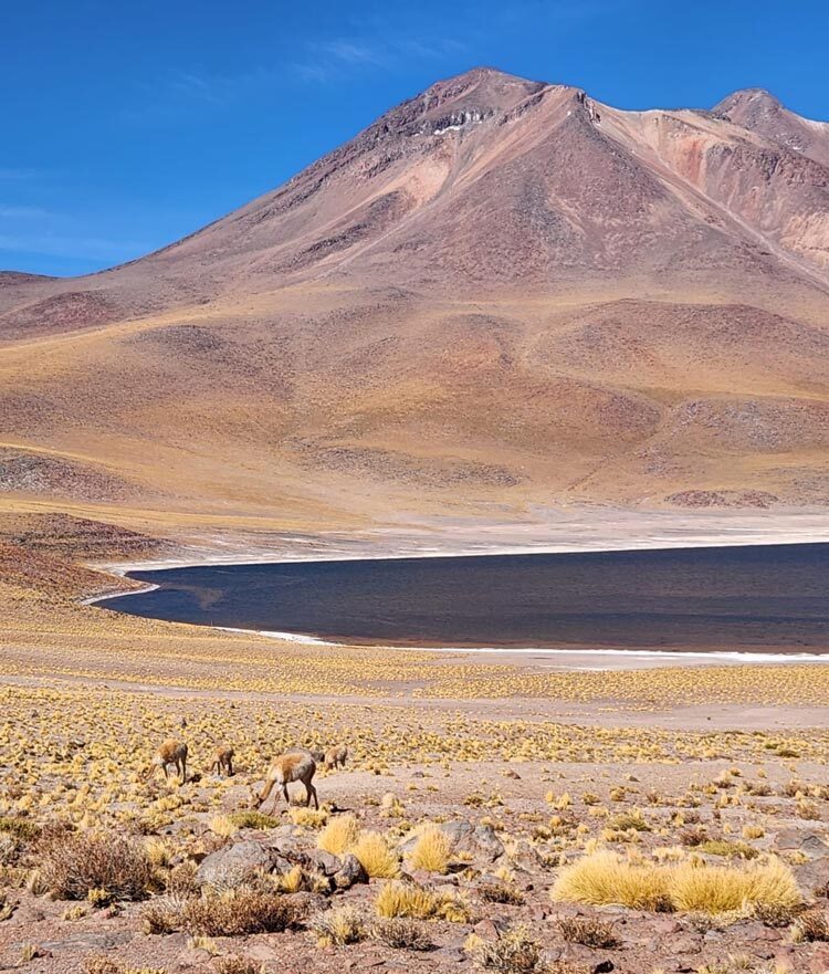 San Pedro de Atacama