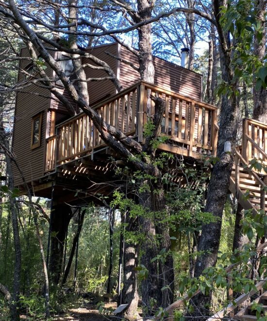 Malalcahuello – Domos Entre Bosques – 1 cama 2 plazas, 1 litera – Tree House