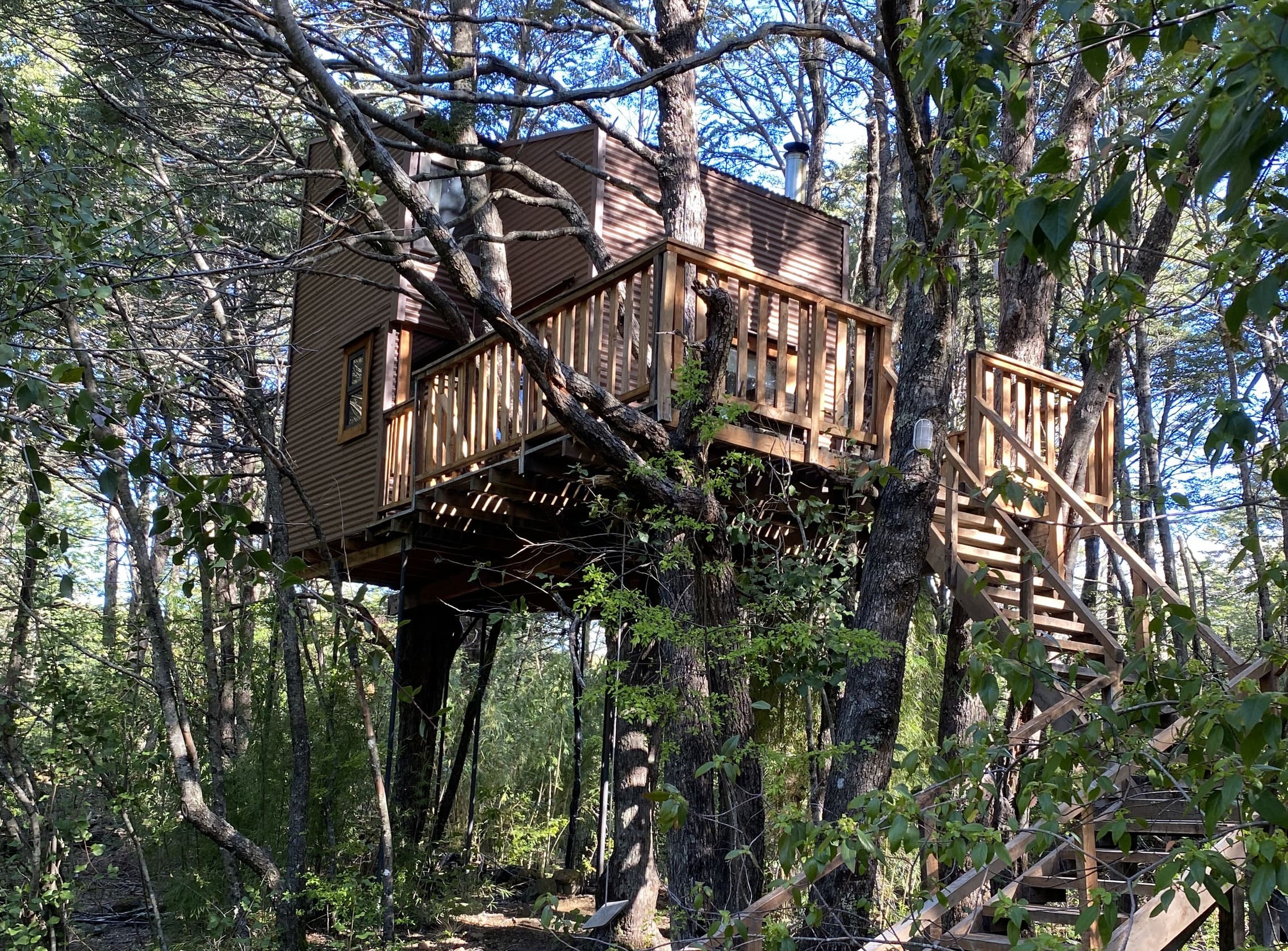 Malalcahuello – Domos Entre Bosques – 1 cama 2 plazas, 1 litera – Tree House