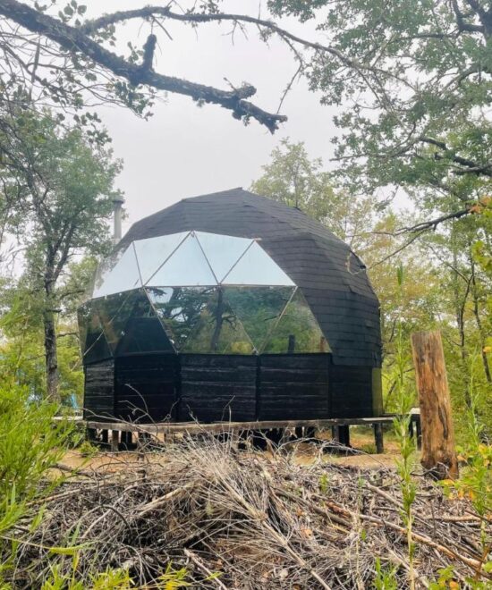 Chillán – Domos Black Domes – 1 cama 2 plazas, 1 camarote – Flower Dome