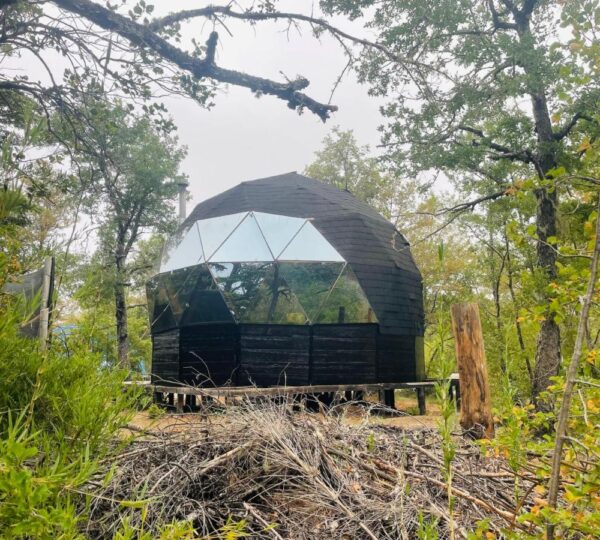 Chillán – Domos Black Domes – 1 cama 2 plazas, 1 camarote – Flower Dome