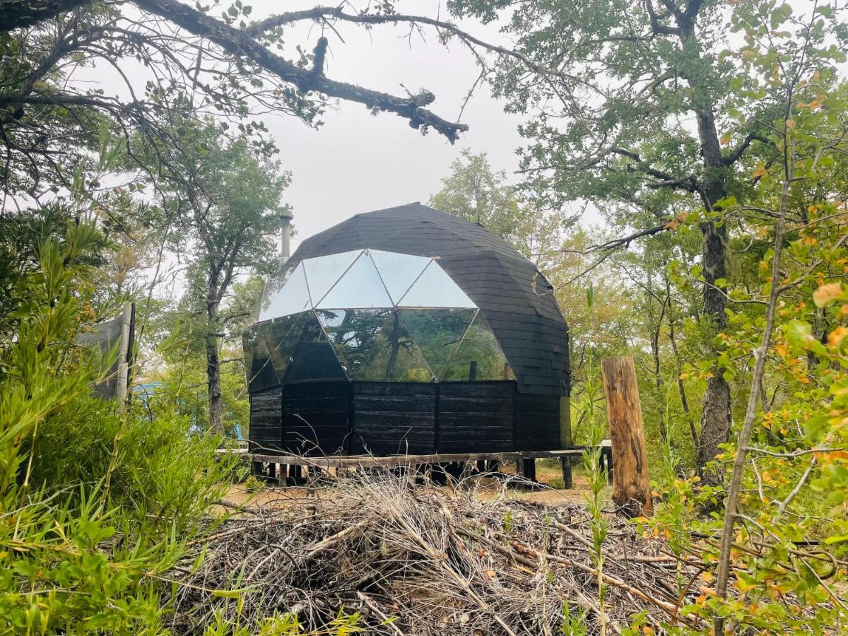 Chillán – Domos Black Domes – 1 cama 2 plazas, 1 camarote – Flower Dome