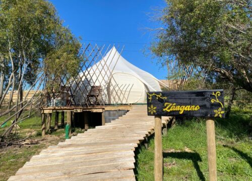 Litueche - La Colmena Glamping - 1 cama 2 plazas, 1 cama 1 plaza - Carpa Zángano